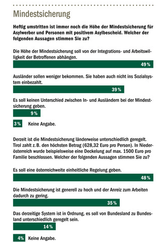 mindestsicherungumfrage